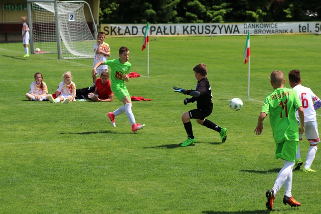 将是辽宁队 将是辽宁队