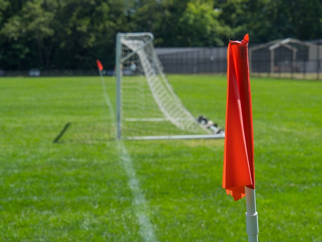 星里瓦尔多 星里瓦尔多