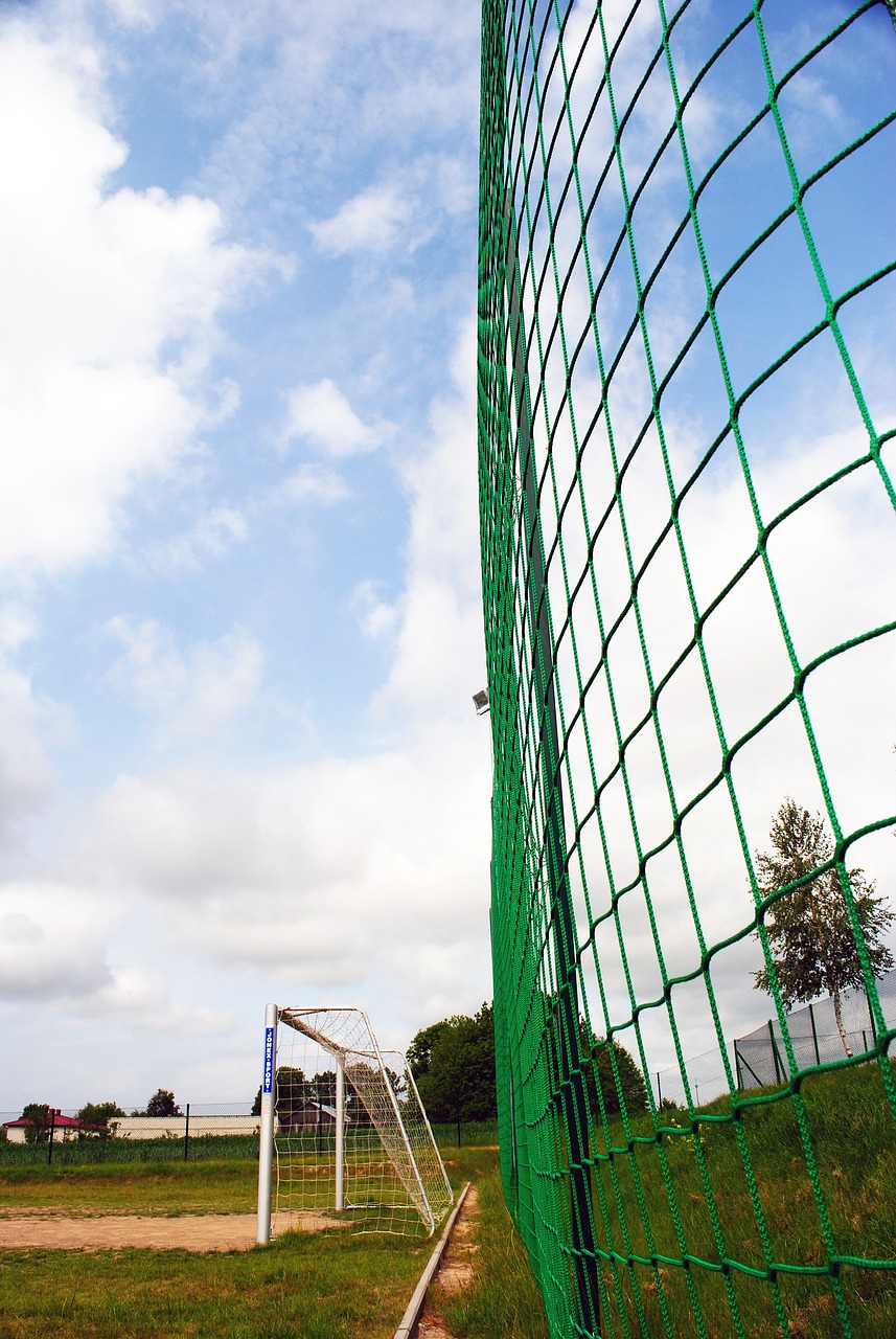 场上的满分 场上的满分