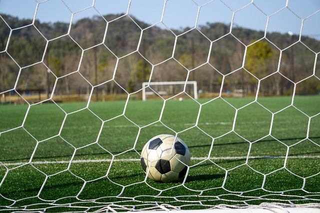 在接下来的 在接下来的