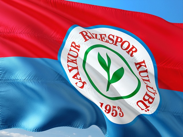 的生态环境 的生态环境