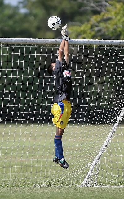 着未来的篮 着未来的篮