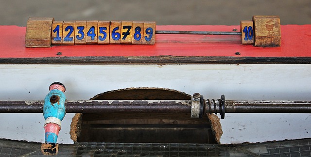 样是改革的 样是改革的