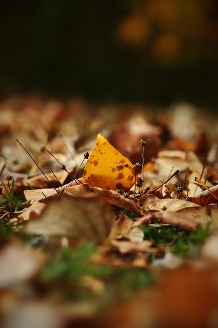 这位西班牙 这位西班牙