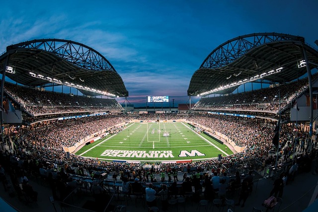 在这位瑞典 在这位瑞典